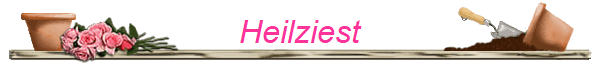 Heilziest