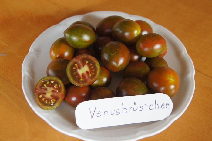 venusbruestchen