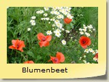 Blumenbeet