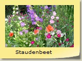 Staudenbeet