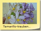 Tamarillo-traubenbltig