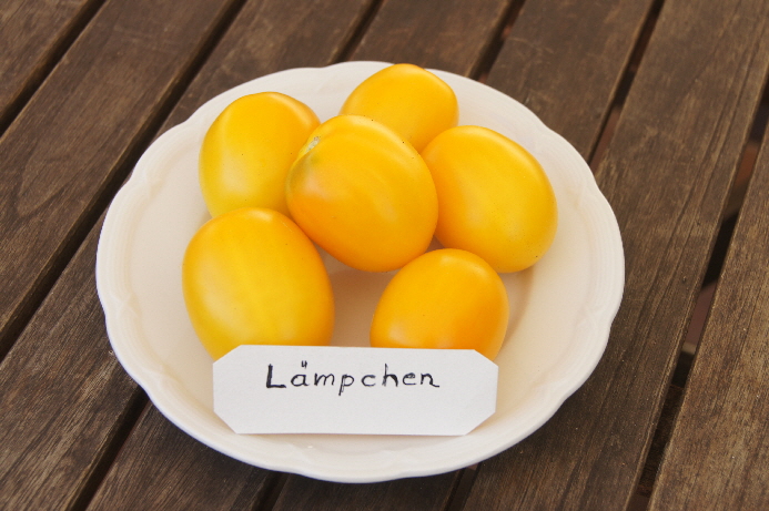 laempchen